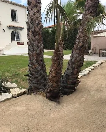 Grand Studio Terrasse Sur Mer Καν-συρ-Μερ